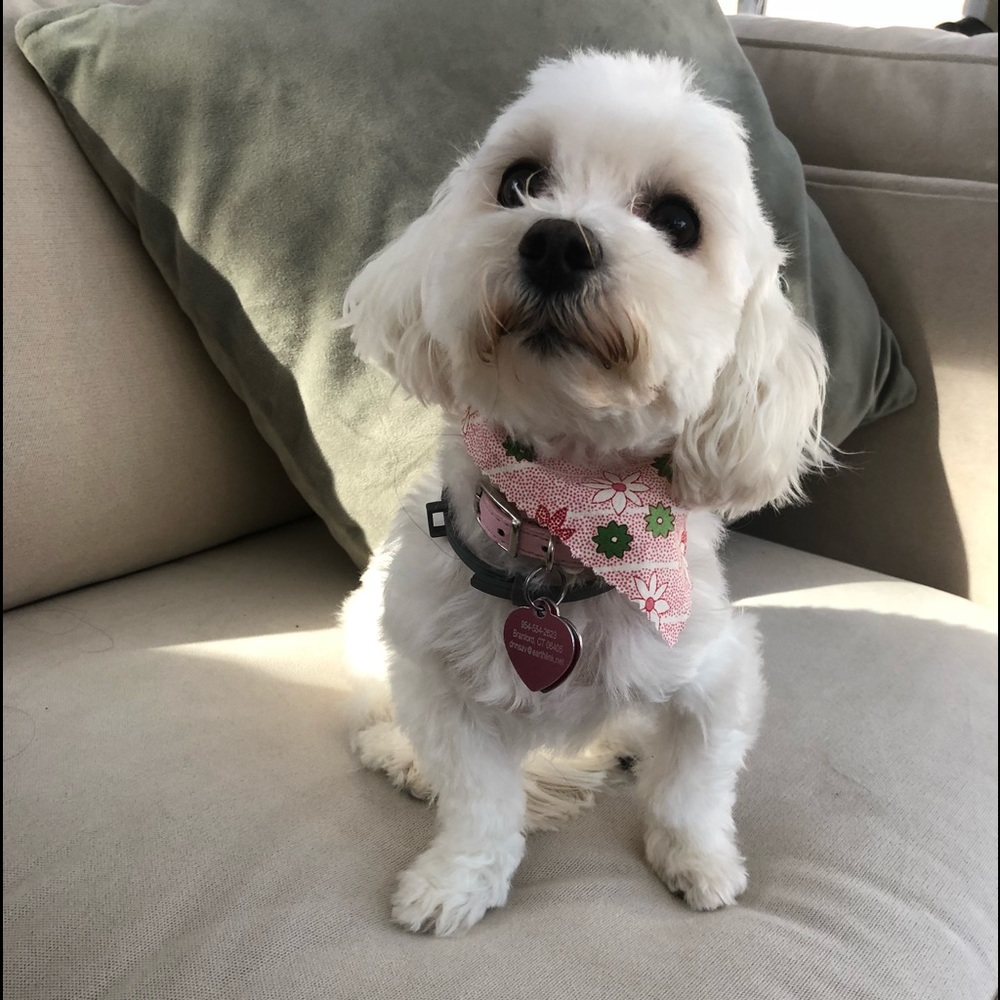 Meet your Posher, Dianne